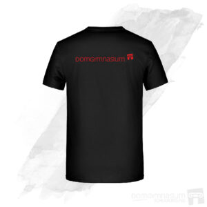 Domgymnasium Schulchor Premium T-Shirt